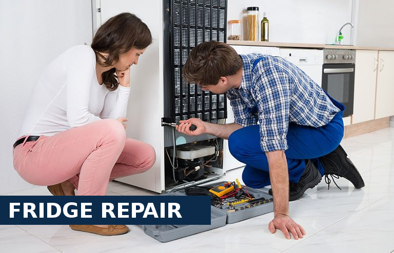 Fridge Repair Brockley